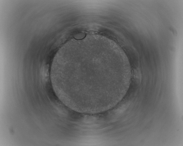 X0000115290818200911231246