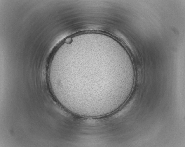 X0000115290827200911231247