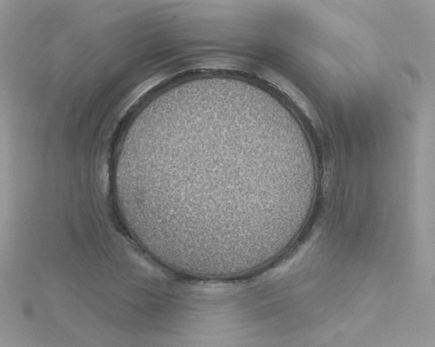 X0000115290829200911231247