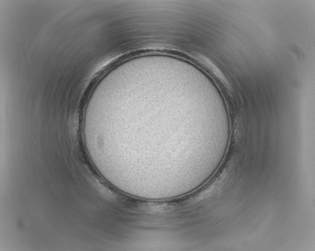 X0000115290831200911231247