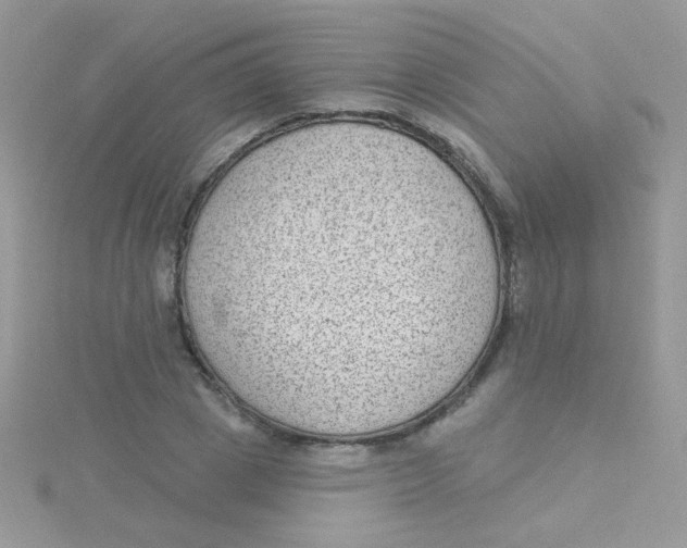 X0000115290833200911231247