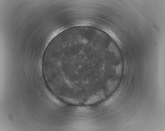 X0000115290850200911231247