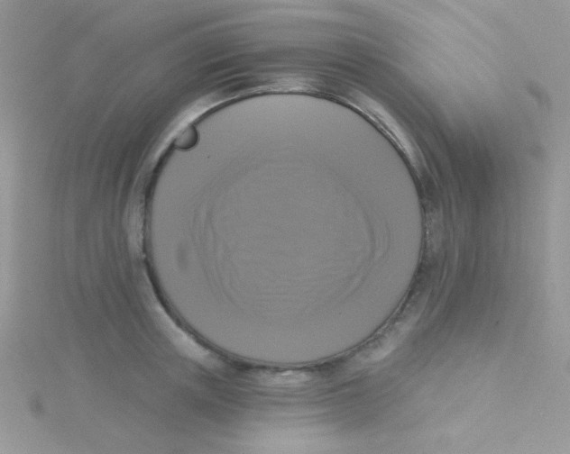 X0000115290851200911231247