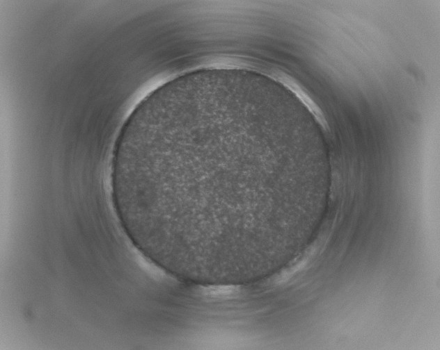 X0000115290853200911231247