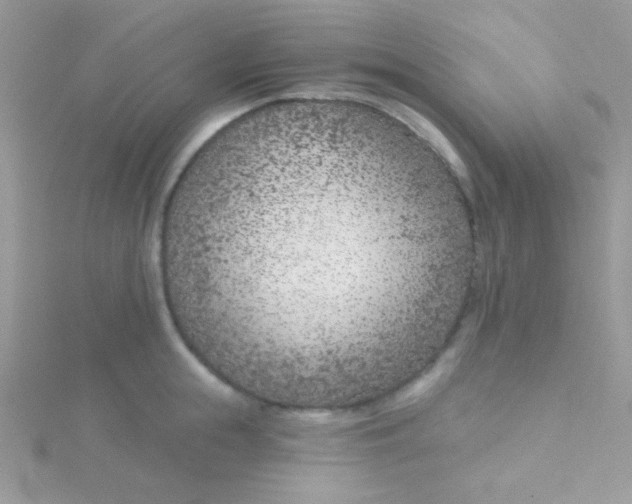 X0000115290855200911231247