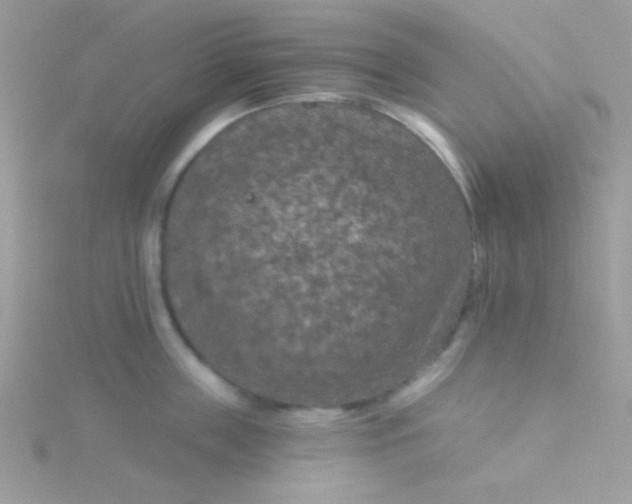 X0000115290859200911231247