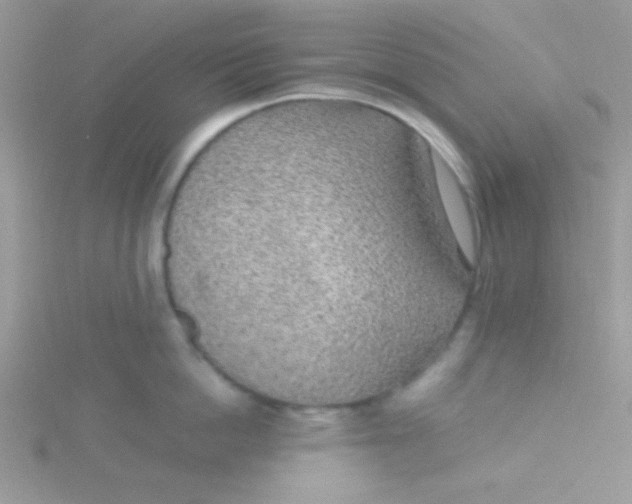 X0000115290862200911231247