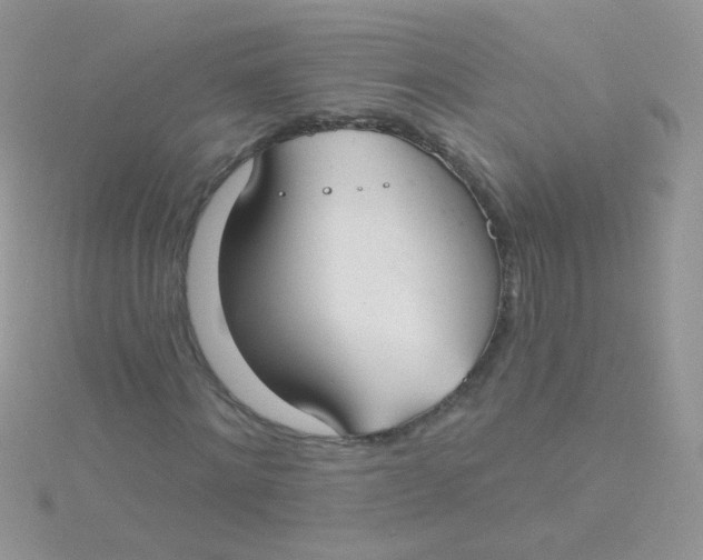 X0000115290868200911231246