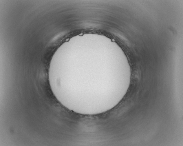 X0000115290869200911231246