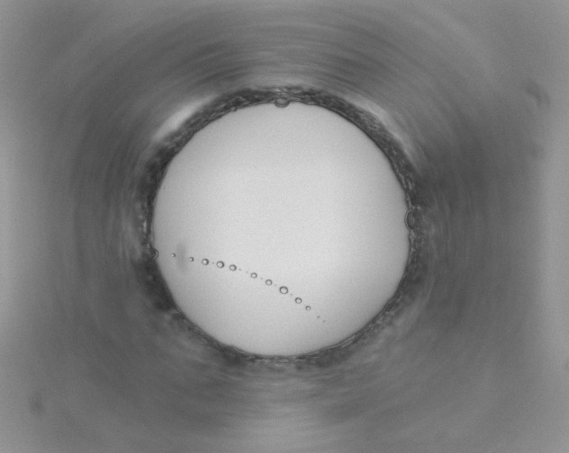X0000115290871200911231246