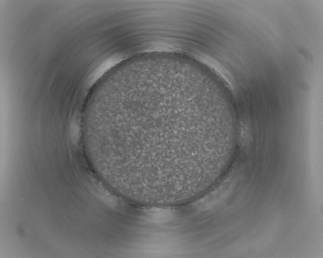 X0000115290874200911231246