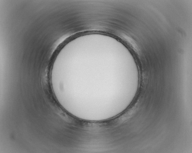 X0000115290875200911231246