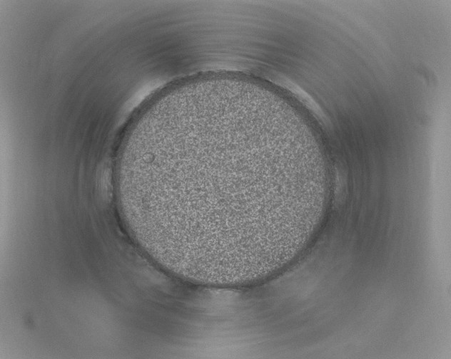 X0000115290878200911231246