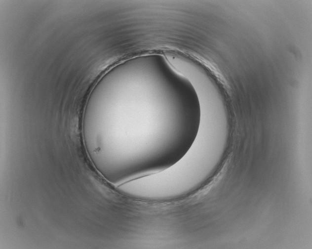 X0000115290881200911231246