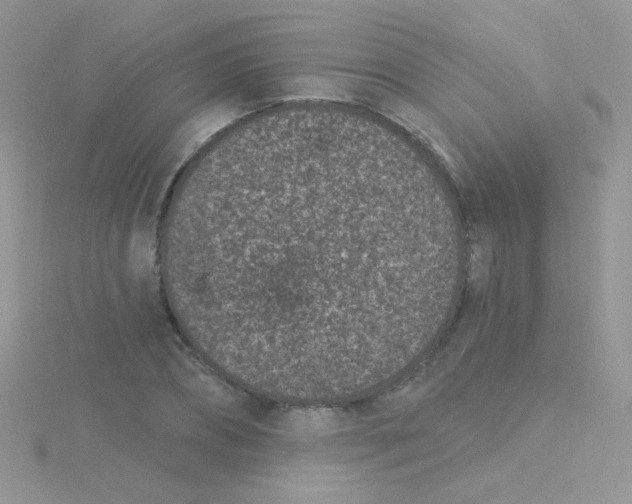 X0000115290882200911231246