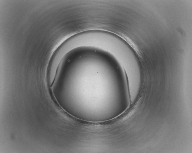 X0000115290885200911231246