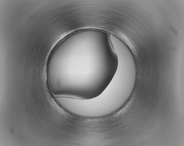 X0000115290892200911231246