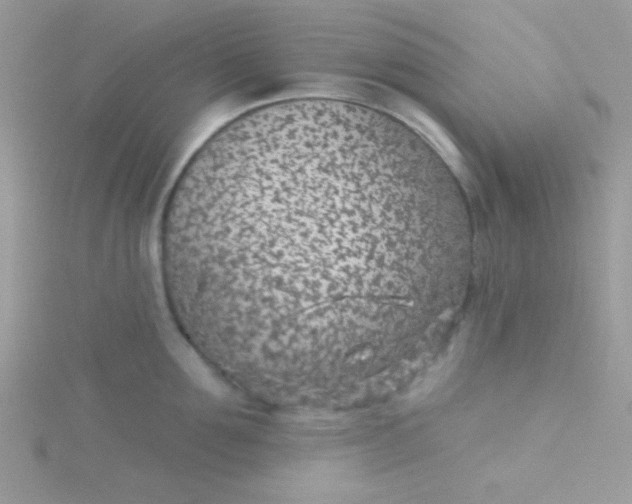 X0000115290907200911231246