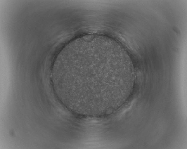 X0000115290913200911231245