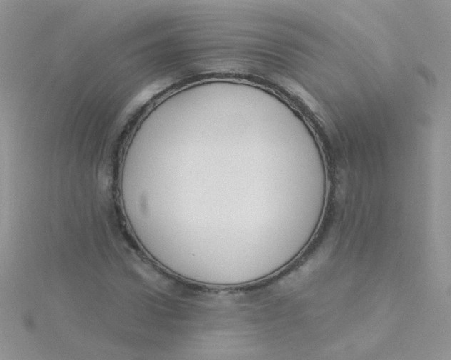 X0000115290922200911231245
