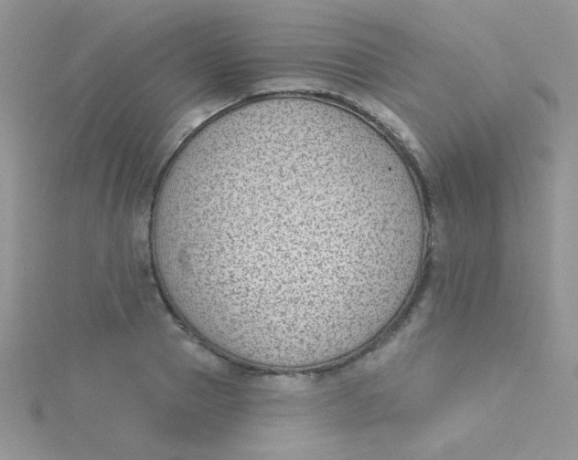 X0000115290937200911231246