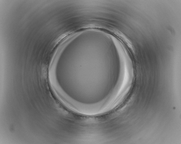 X0000115290945200911231246