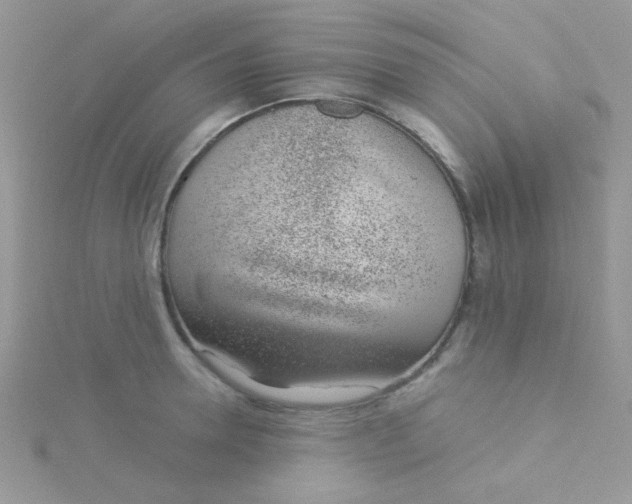 X0000115290946200911231246