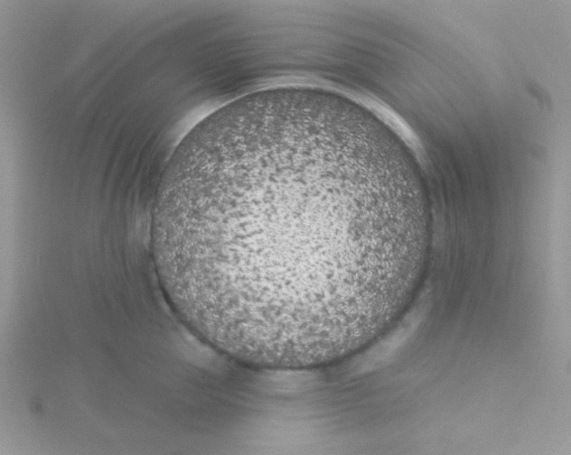 X0000115290953200911231246