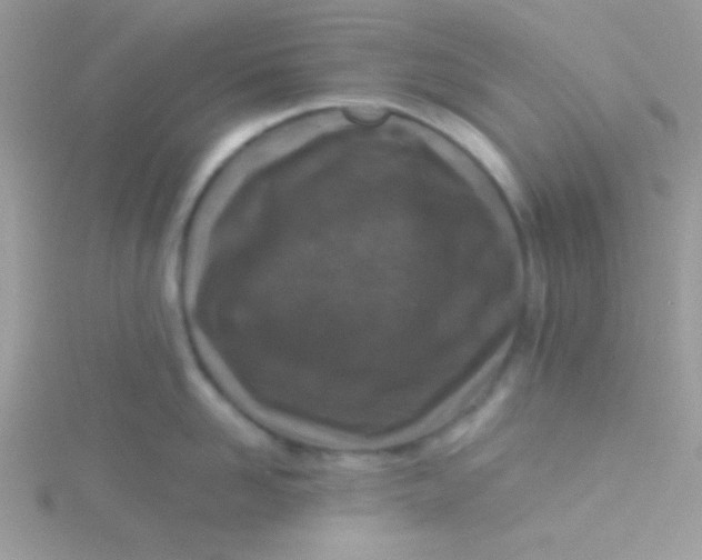X0000115290958200911231246