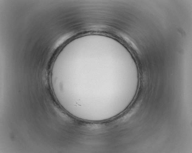 X0000115290970200911231245