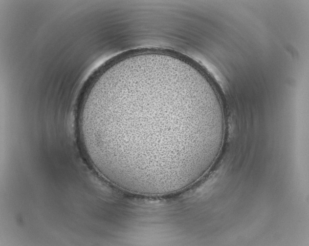 X0000115290975200911231245