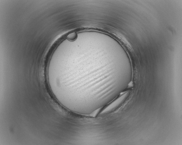 X0000115290976200911231245