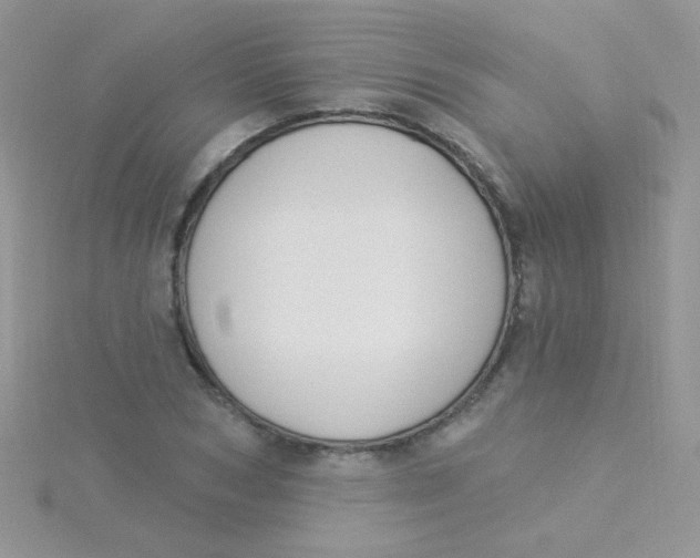 X0000115290978200911231245