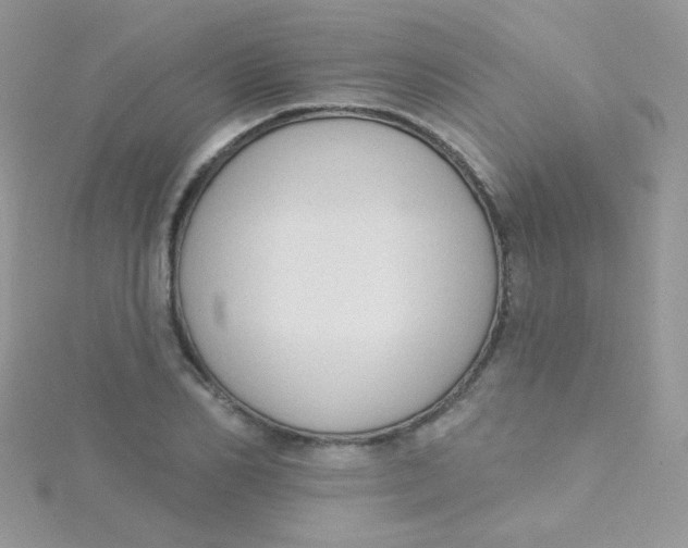 X0000115290982200911231245