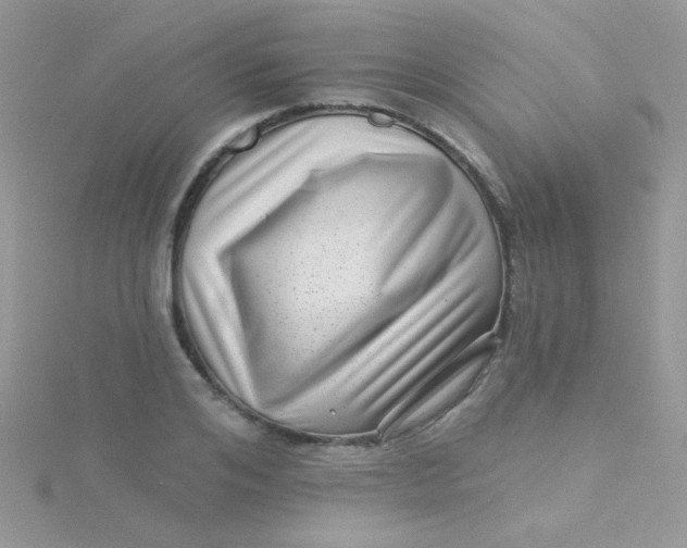 X0000115290984200911231245