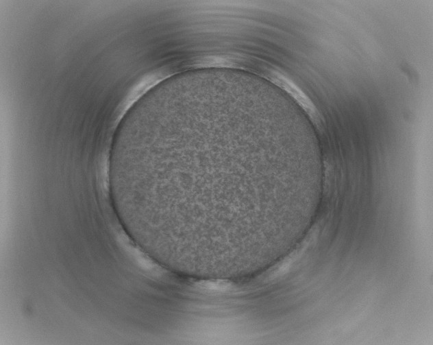 X0000115290994200911231245