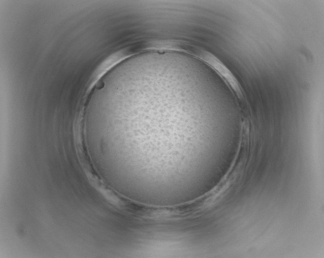 X0000115291002200911231244