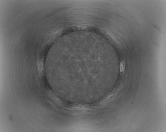 X0000115291011200911231244