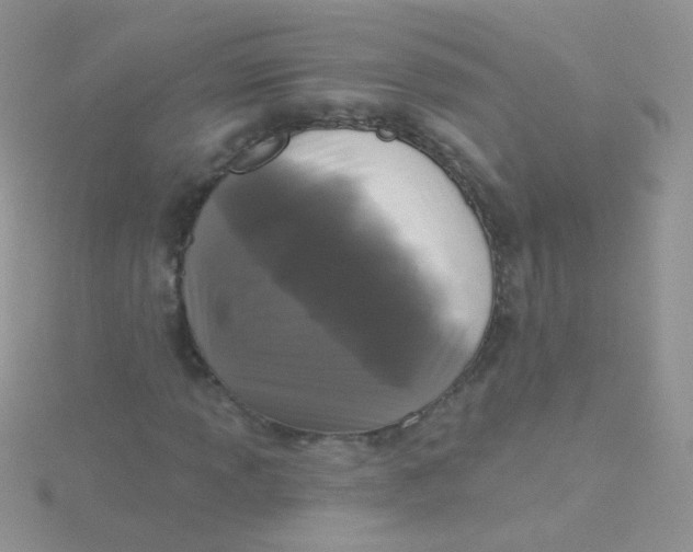 X0000115291013200911231244