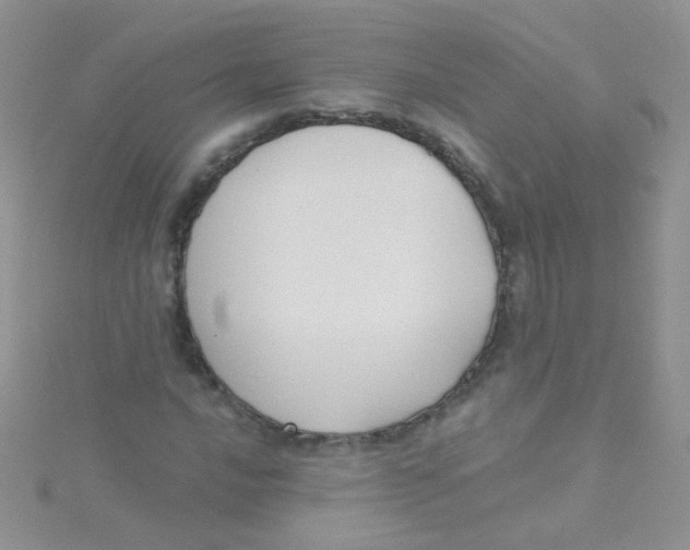 X0000115291016200911231244