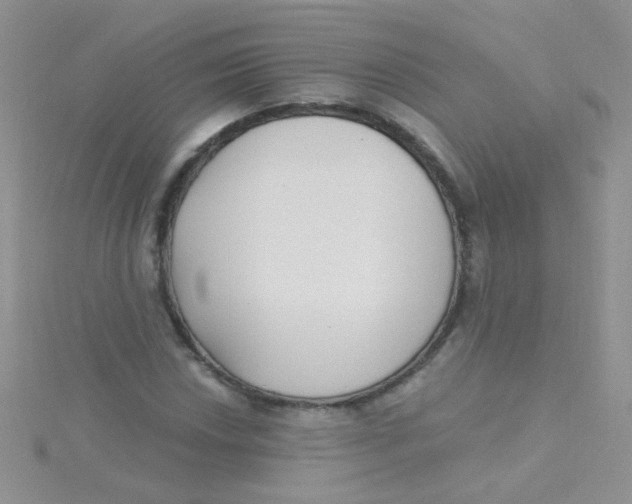 X0000115291018200911231244