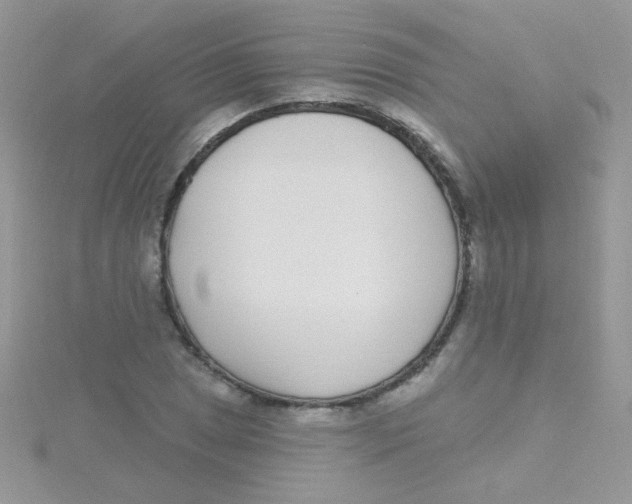 X0000115291025200911231244