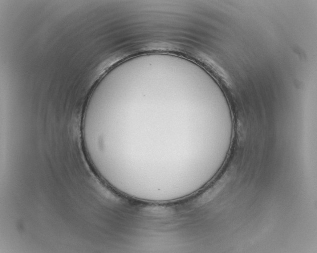 X0000115291033200911231244