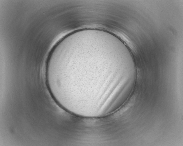 X0000115291046200911231244