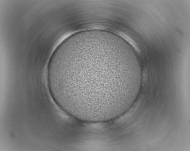 X0000115291047200911231244