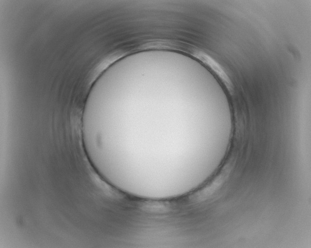X0000115291049200911231244