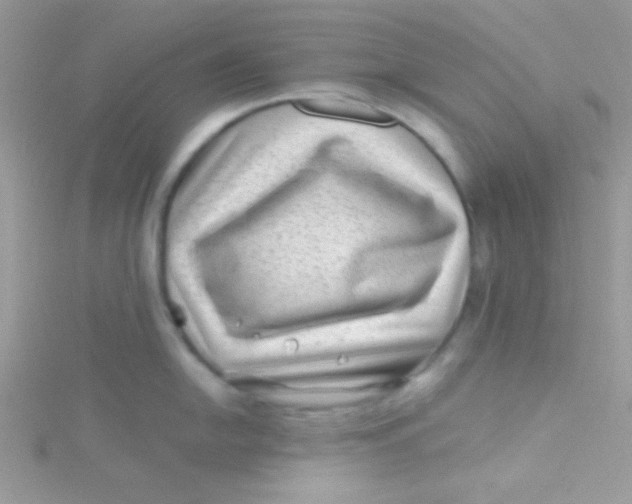 X0000115291054200911231244