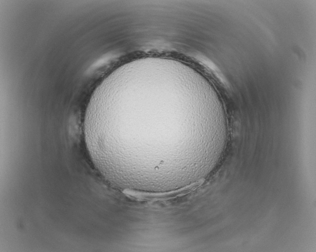 X0000115291063200911231244