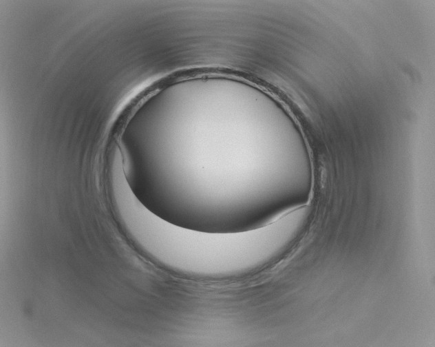 X0000115291069200911231244