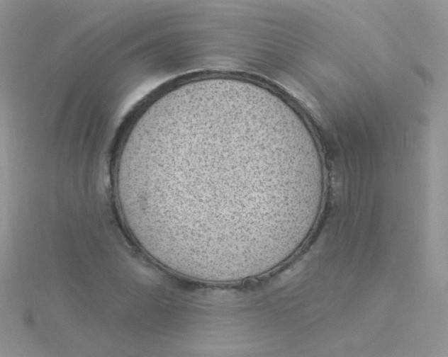 X0000115291070200911231244